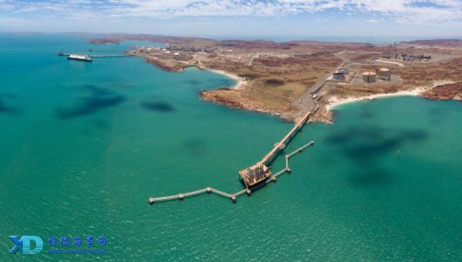 日媒：日本国门铃木彩艳预计13日在日本接受手指骨折手术